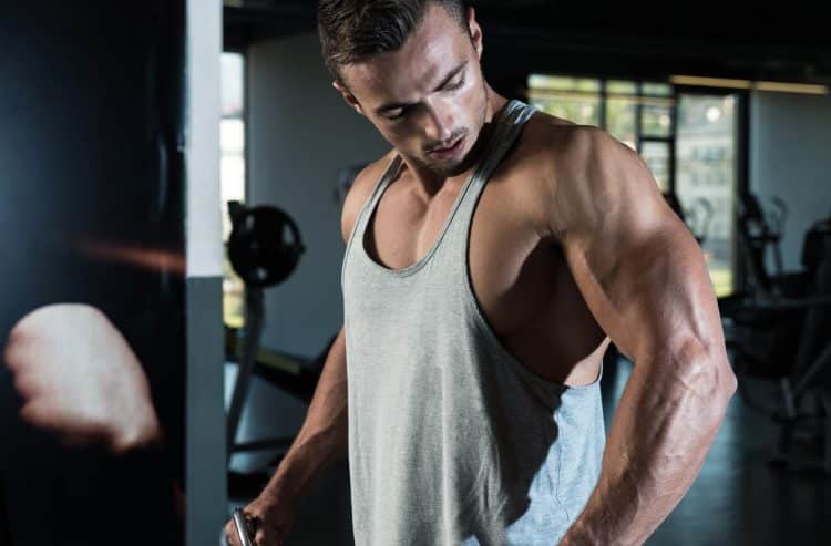 Shoulders Cable Lateral Raise