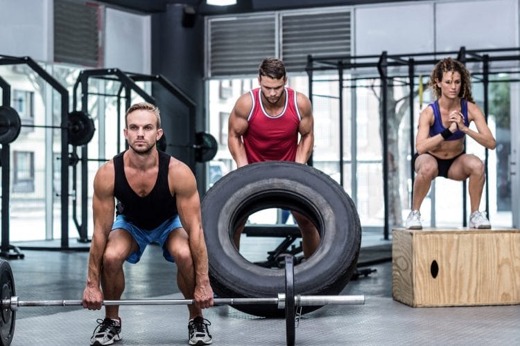 Squat Variations