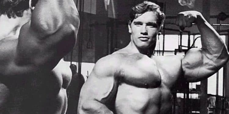 Strength Standards