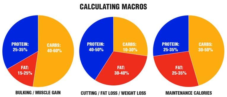 TDEE Macros Ratios