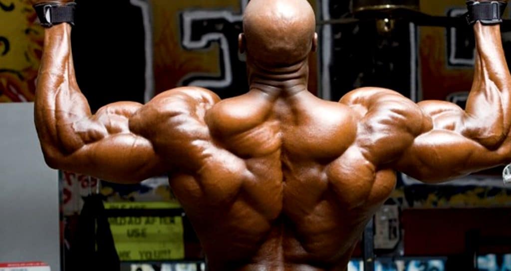 Trapezius