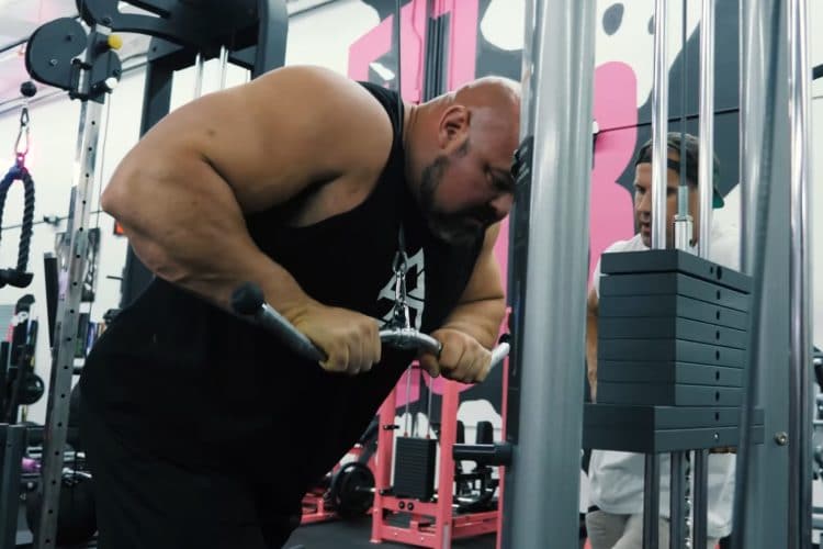 Triceps Push Down