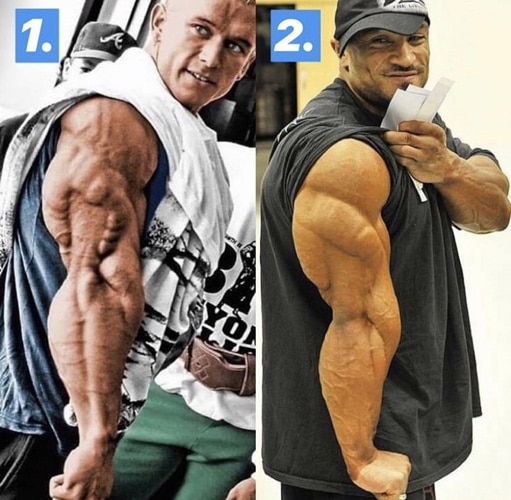 Triceps Tips