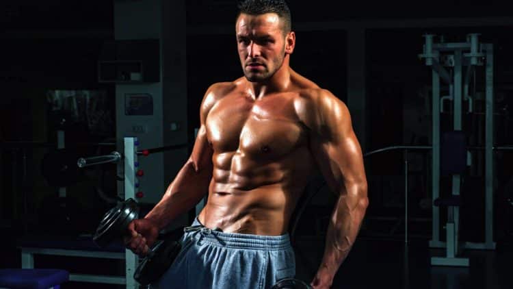 Two Day Workout Split