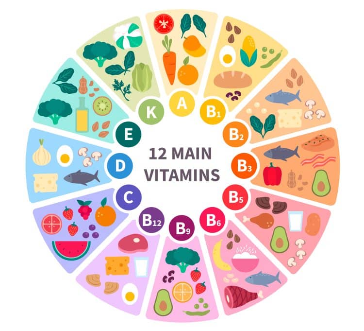 Types of Vitamins