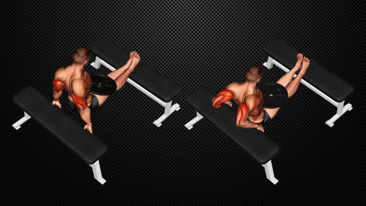 Weighted Bench Dip Guide