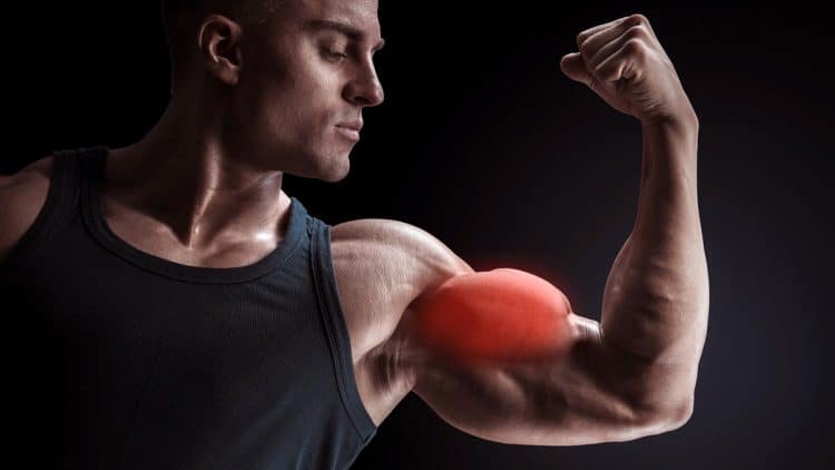 Wider Biceps