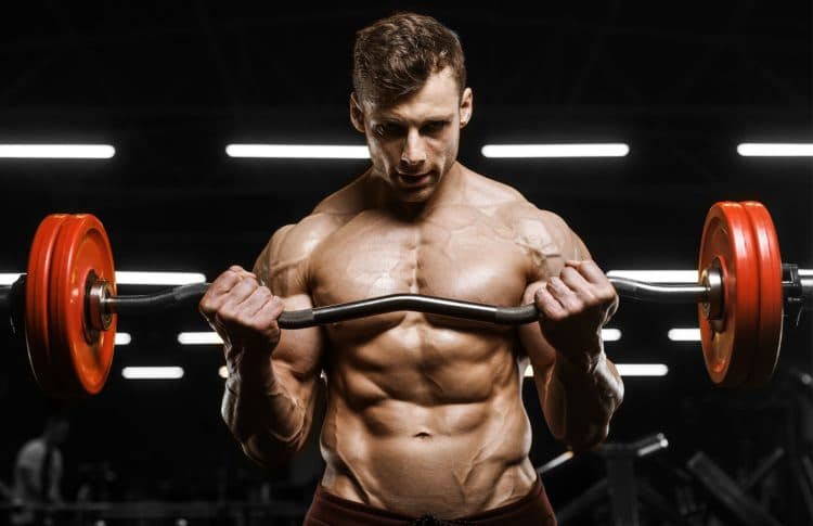 Workout Barbell Curl