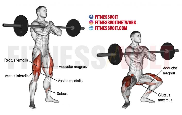 Zercher squat