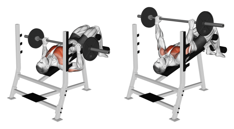Decline Bench Press