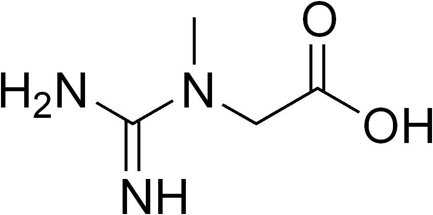 Structural Formula Of Creatine