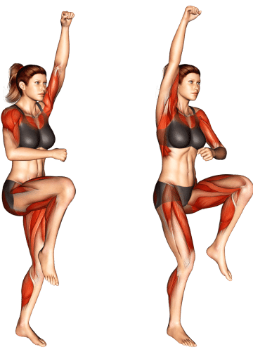 Vertical Mountain Climber Muscles Worked